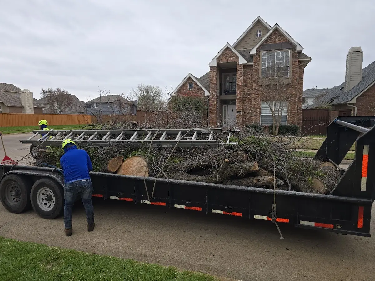 Expert Tree Pest Control with proper safety equipment in New Bethlehem